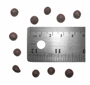 KakaoZon 72% Organic Dark Chocolate Chips with Coconut Sugar • 35.27oz